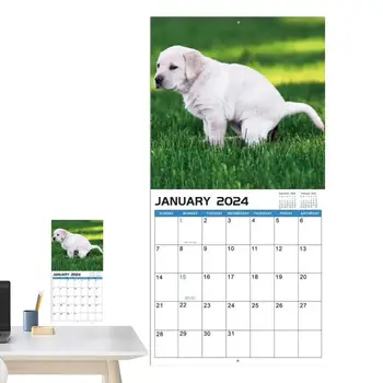 Календарь гадящих собак на 2024 год, Ежемесячный календарь вызовов природы для собак, Забавный календарь розыгрышей на стене, календарь розыгрышей подарков на 2024 год Для