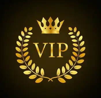 Дополнительная плата за перевозку VIP-клиента ссылка
